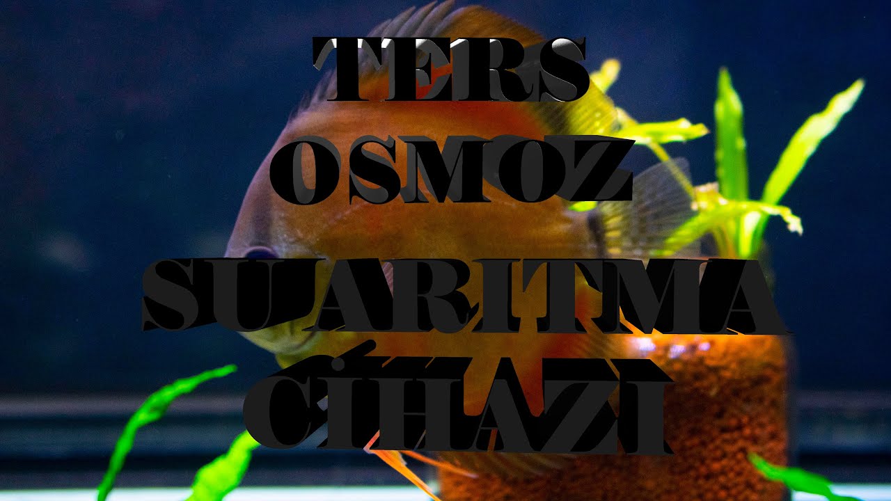 AKVARYUM İÇİN SEDİMENT, KARBON VE MEMBRANE KARTUŞLU UCUZ OSMOZ SU ARITMA CİHAZI TANITIMI VE KURULUMU