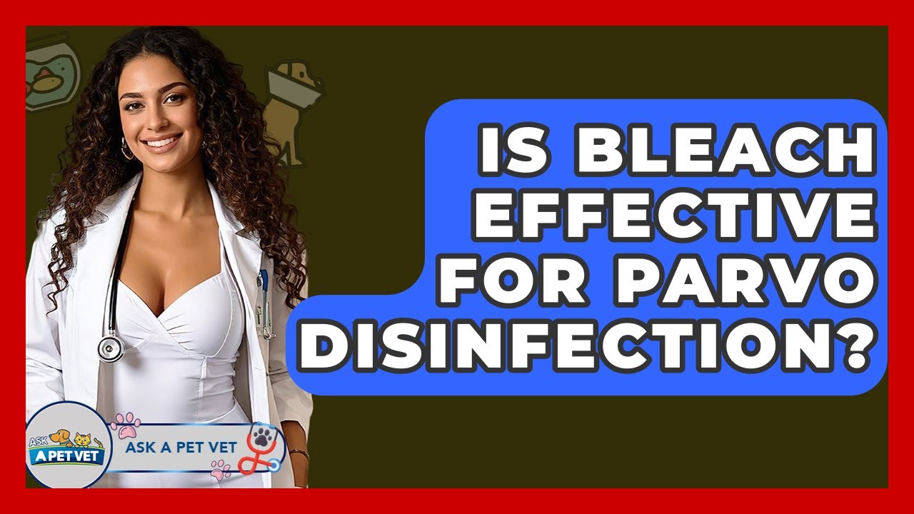 Is Bleach Effective For Parvo Disinfection? - Ask A Pet Vet