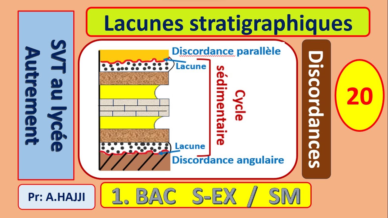 Lacunes stratigraphiques: discordances et surfaces durcies
