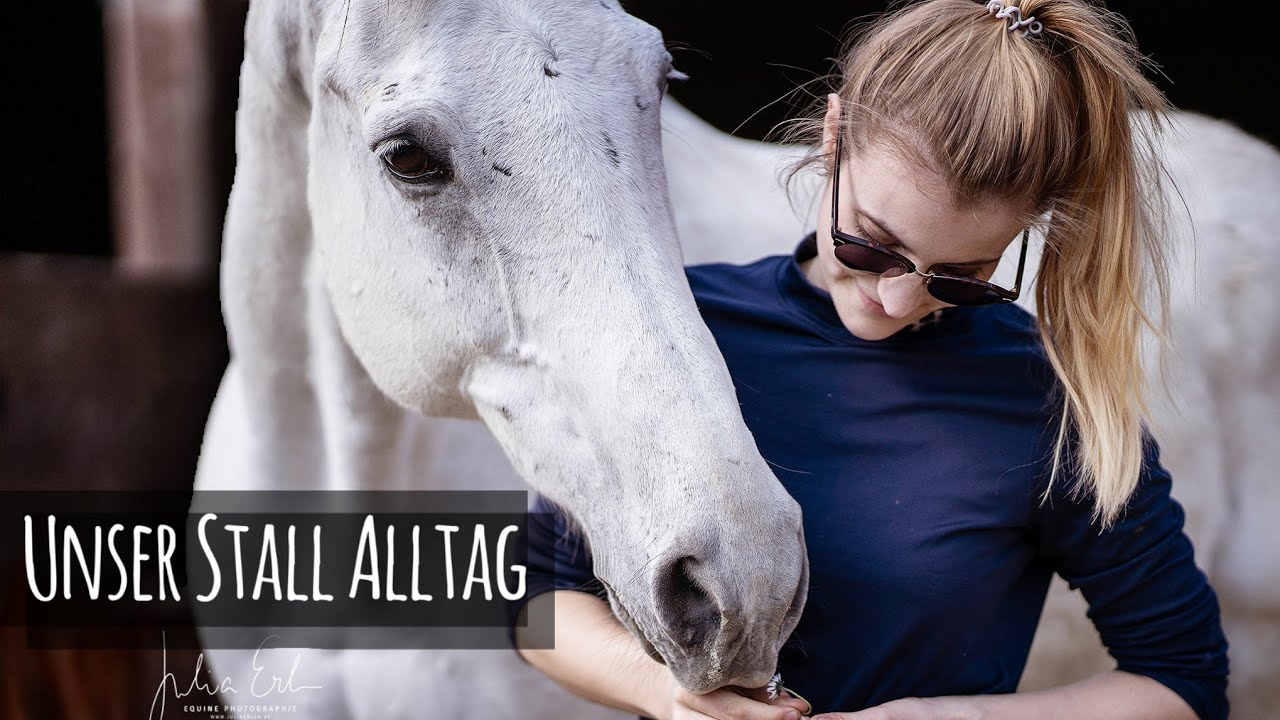 FMA - unser Stallalltag