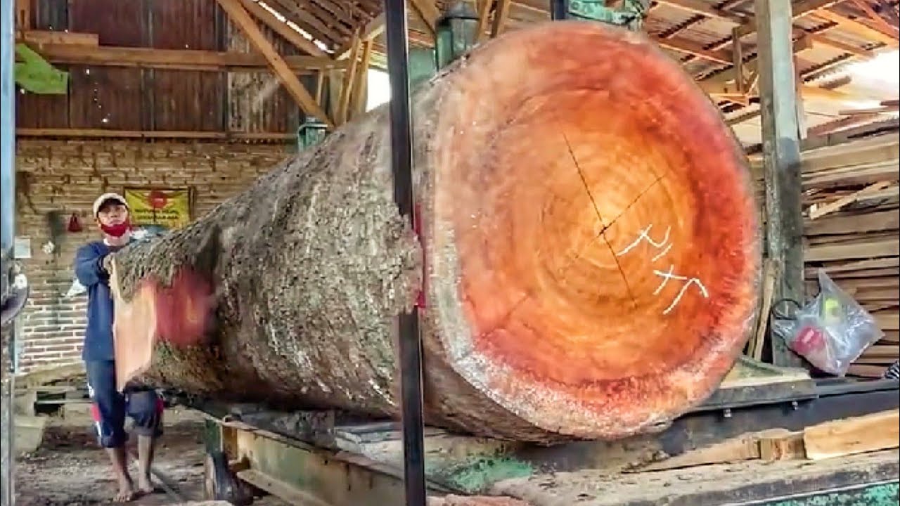 Sawing a beautiful log at the sawmill