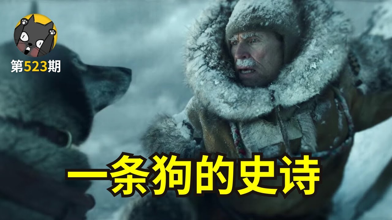 雪橇犬千里驰援，拯救白喉患儿：生命接力，生死时速！《多哥》| 看电影了没