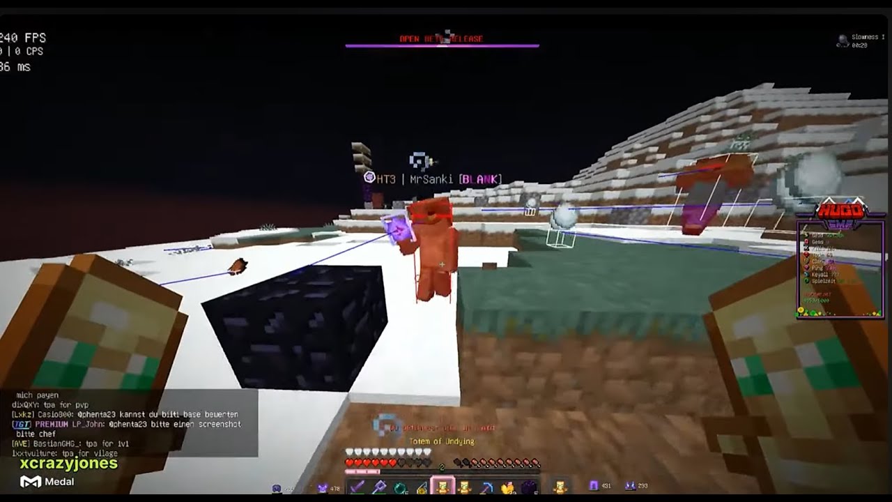 Minecraft SMP-Montage