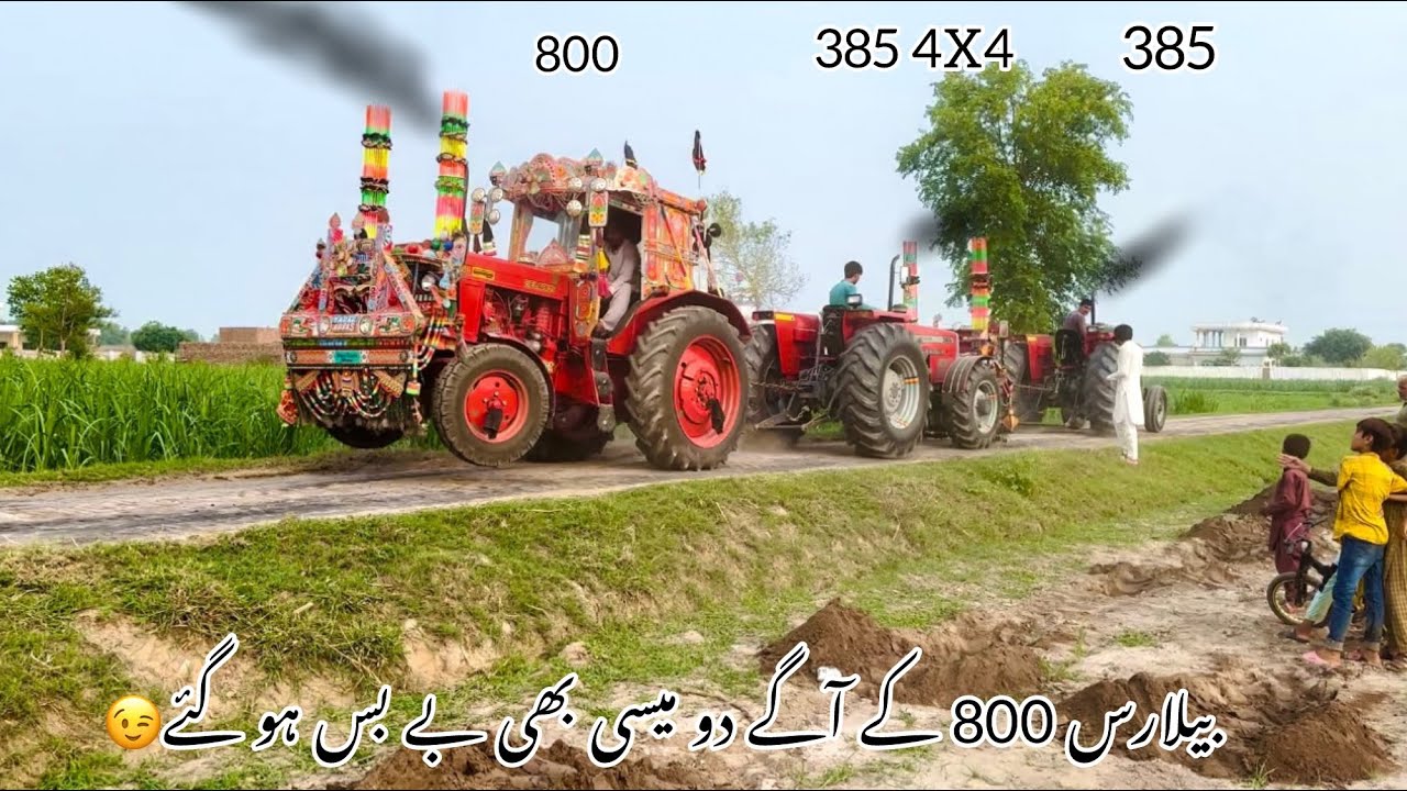Belarus 800 tochan with 2 massey 385 4X4 Or simple massey 385