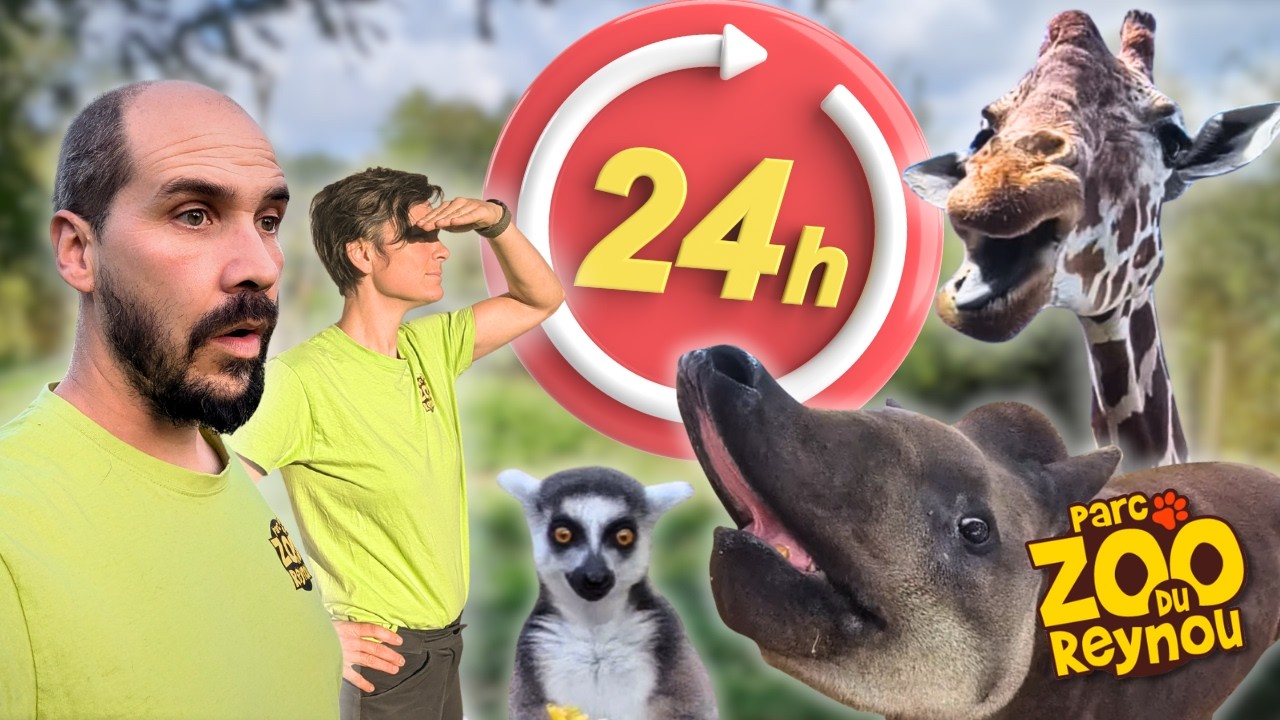 24H EN TANT QUE SOIGNEURS EN ZOO !