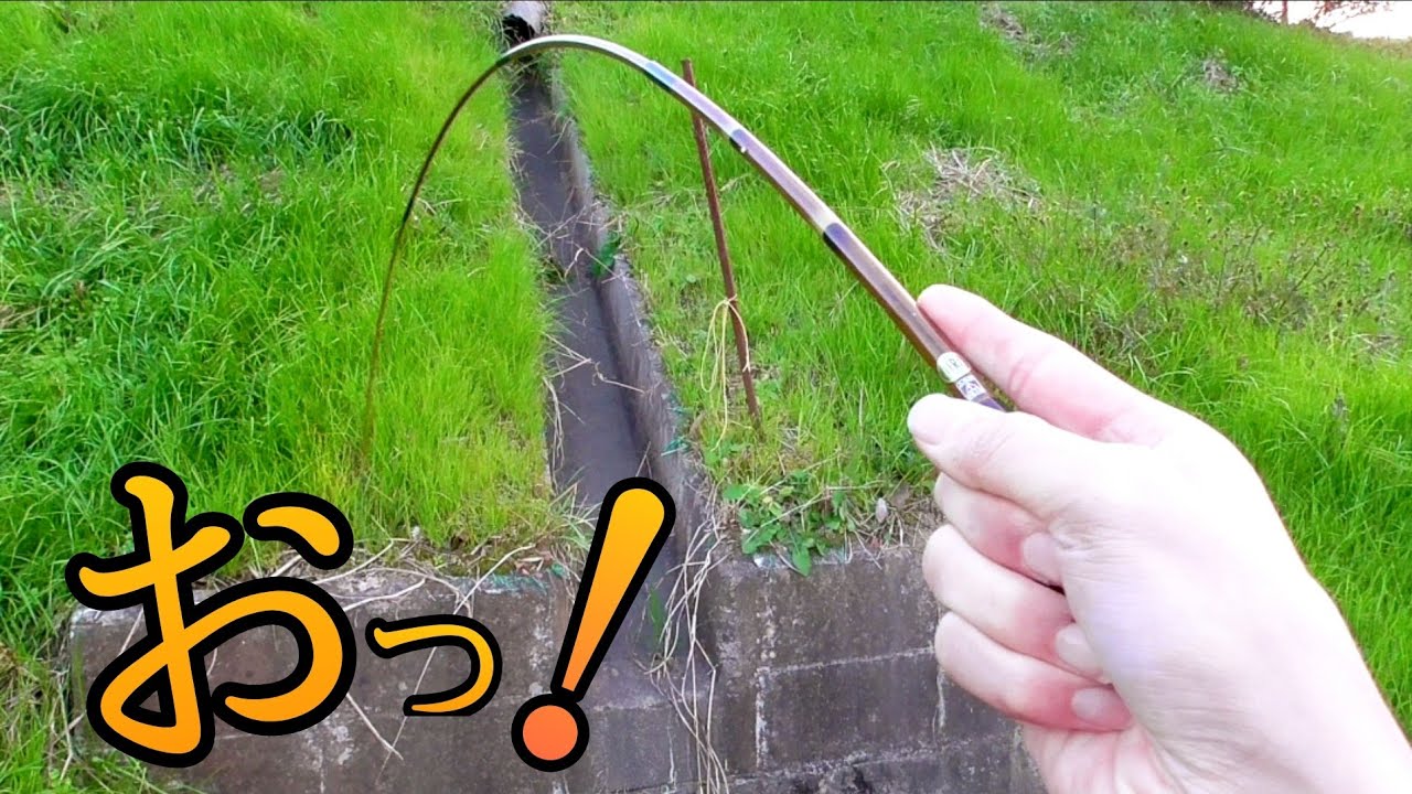 タナゴ竿で小物釣りをしていたらついにヌシが...