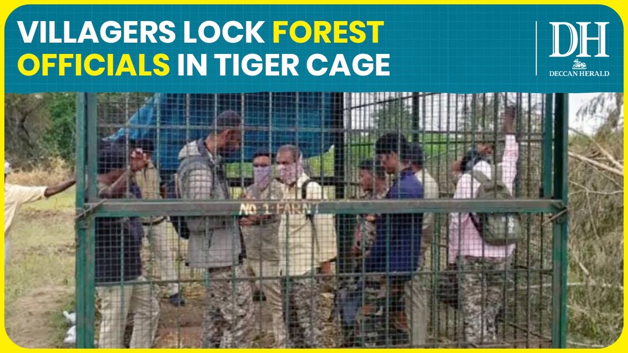 Frustrated Karnataka Farmers Lock Forest Officials in Cage Over Tiger Attacks