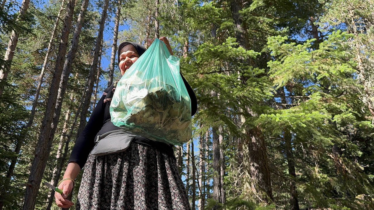 KURAKLIKTA ÇOK MANTAR TOPLADIK.. 🍄‍🟫