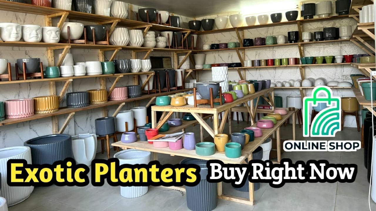 EXOTIC PLANTERS, Pots & Planters With Price, Plant Pots, Harla pots Online You Can Buy Right Now