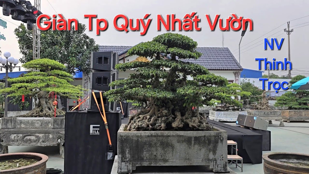 CHIÊM NGƯỠNG những TP XUẤT SẮC NHẤT Trong NV anh THINH TRỌC - Hưng Hà - Hưng Yên .