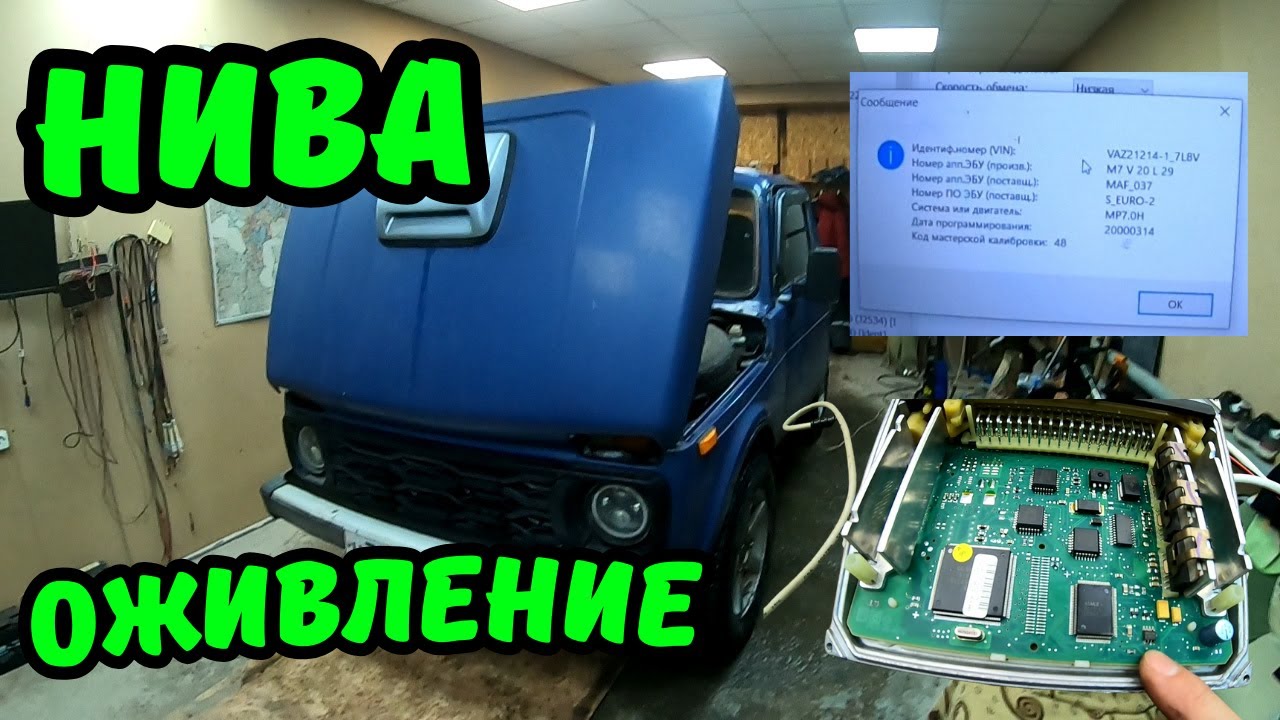 Нива. Оживление. Нет искры.