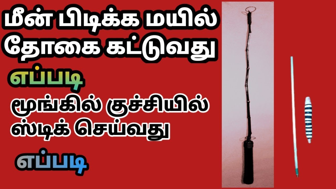 மீன் பிடிக்க மயில் தோகை கட்டுவது எப்படி ஸ்டிக் செய்வது எப்படி இது (தத்துவம் 1110 சேனல்