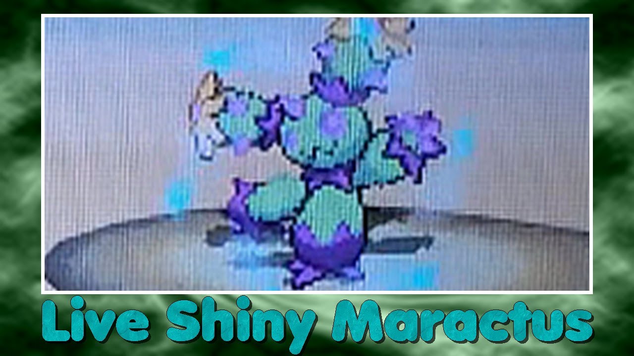 [Phase 6][Live] 2nd Shiny Maractus / Maracachi after 7473 RE!