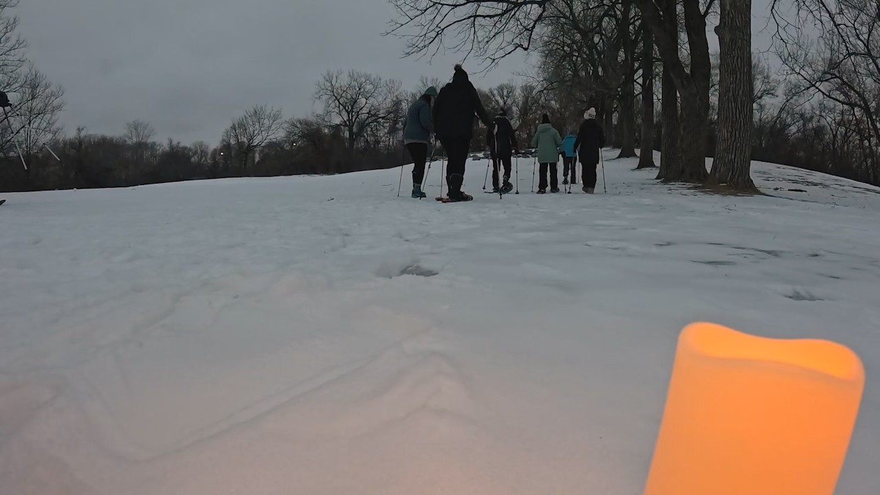 Insight 7 - Winter Walk