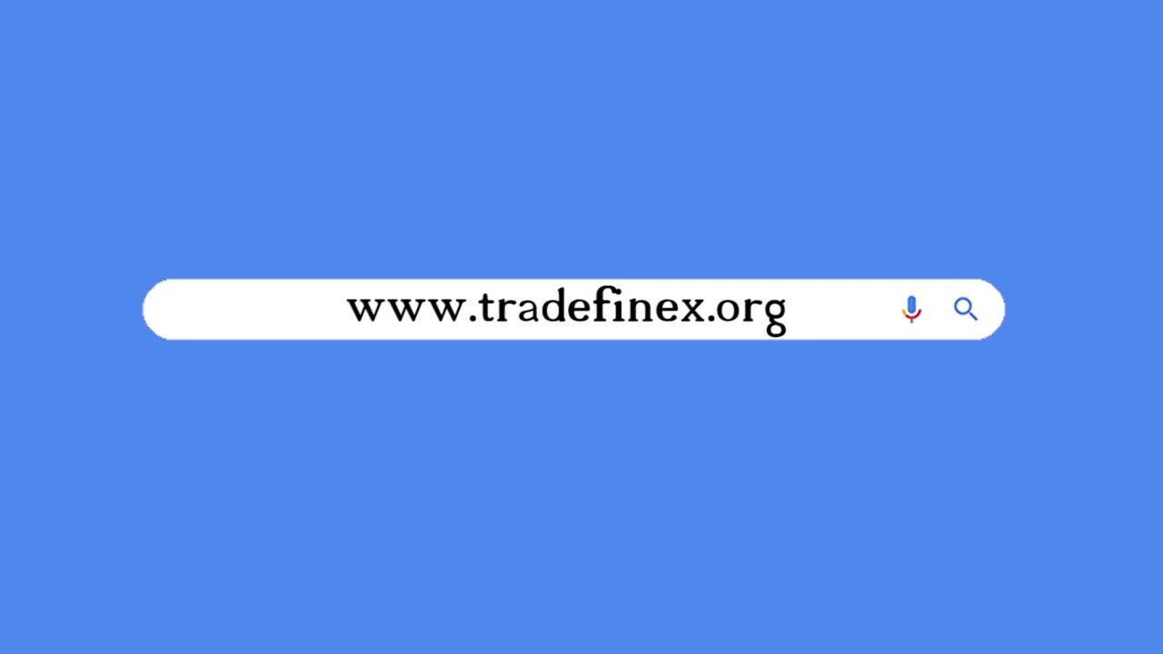 Learn How to become an Financier on TradeFinex Network.