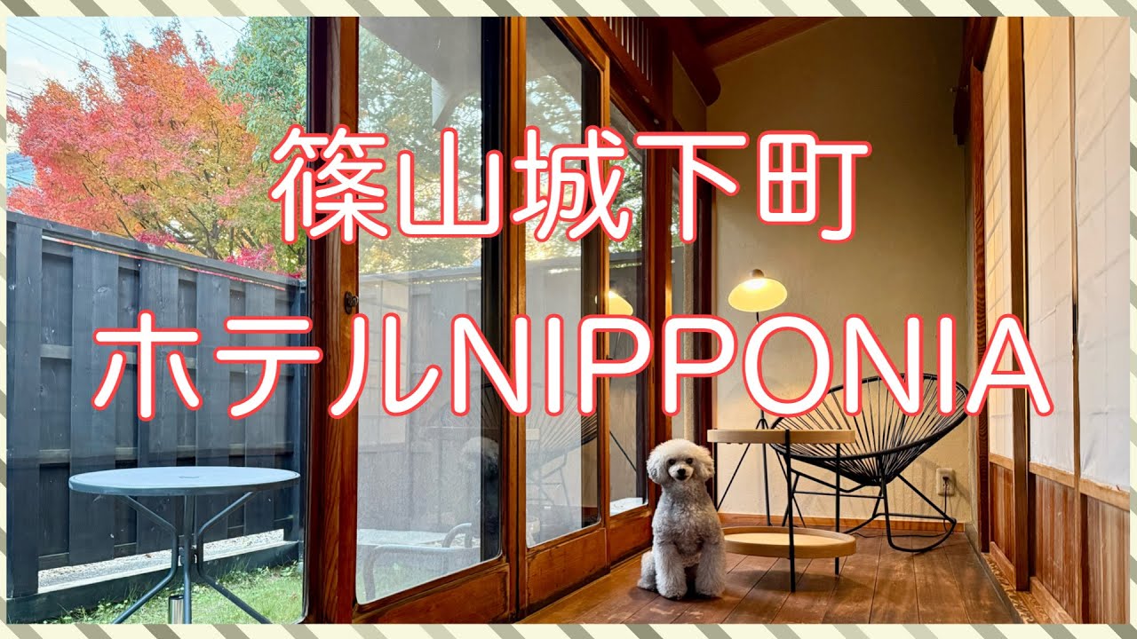 【女1人わんこ旅】憧れのNIPPONIAオシャレな古民家にステイ