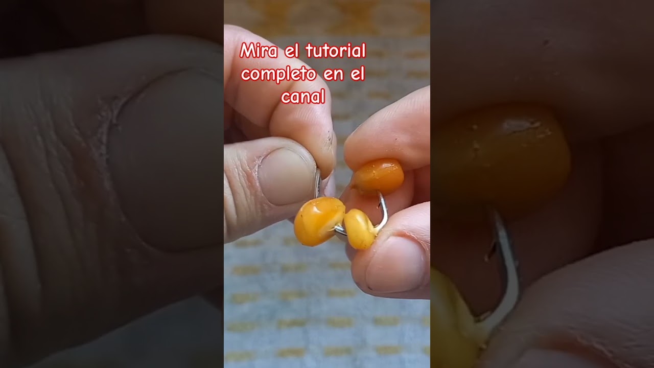 #shorts COMO ENCARNAR MA&Iacute;Z 🌽