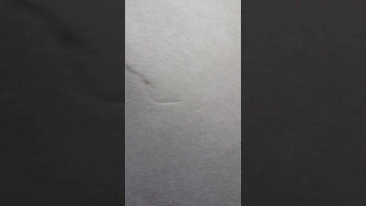 New Marble Show - 'The floor is lava challenge' (20th Video special)