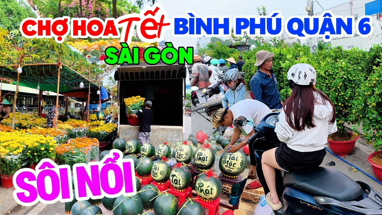 Chợ Hoa Tết Sài Gòn Bình Phú Quận 6, Dưa Chưng Tết Khắc Chữ, Cây Mai Vàng Gốc Đẹp