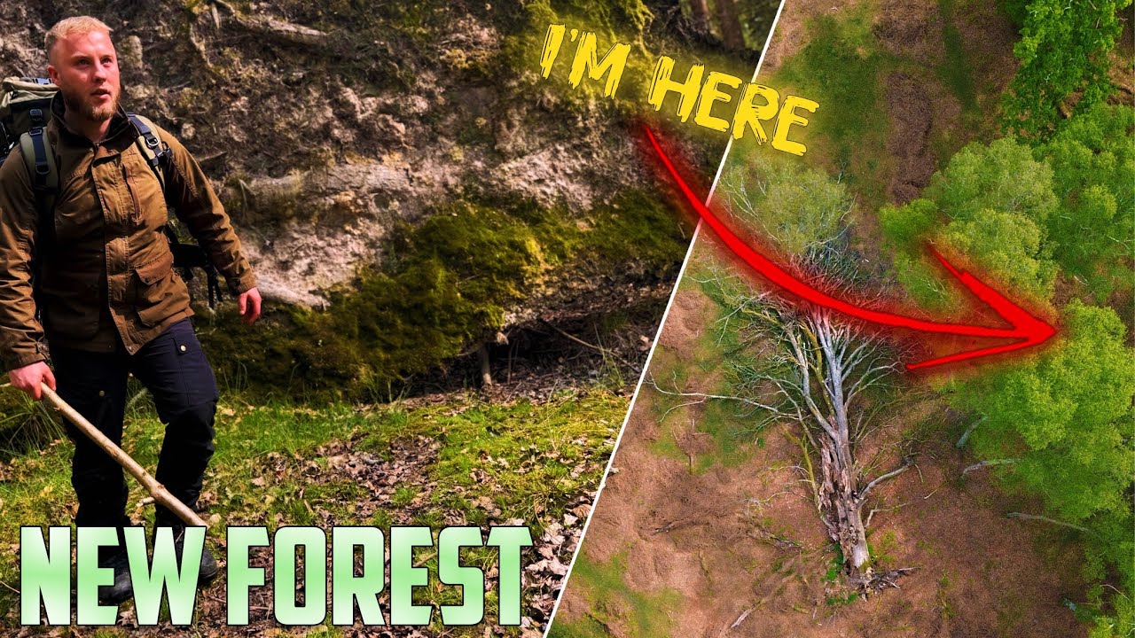 Wild Camping in New Forest | Up Close with Wild Horses & Deer