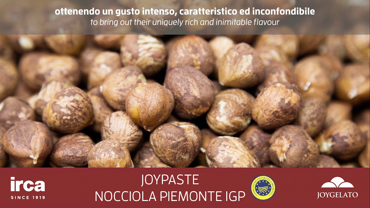 IRCA - JOYGELATO - JOYPASTE NOCCIOLA PIEMONTE IGP