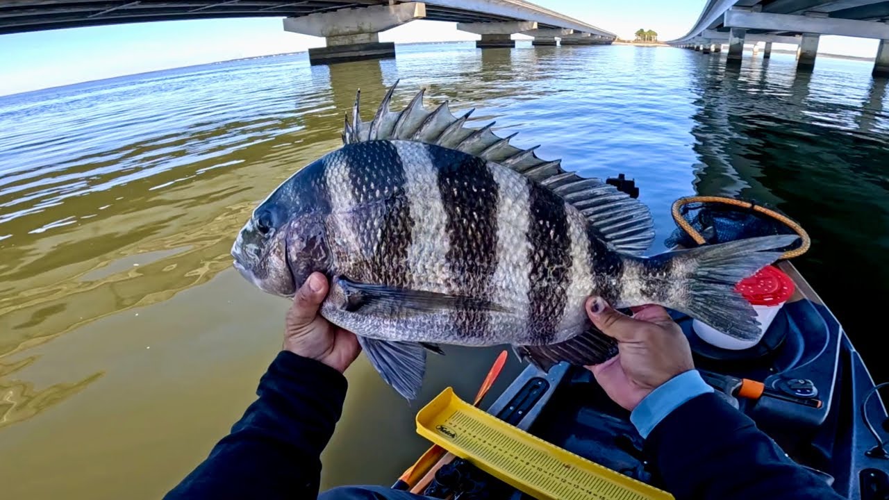 Зимняя рыбалка на байдарках на рыбу Sheepshead в заливе Чоктоухатчи.