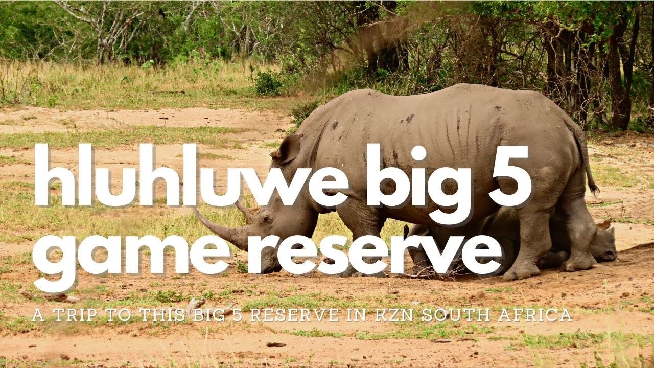 Hluhluwe Big 5 Game Reserve, Kwa Zulu Natal, South Africa