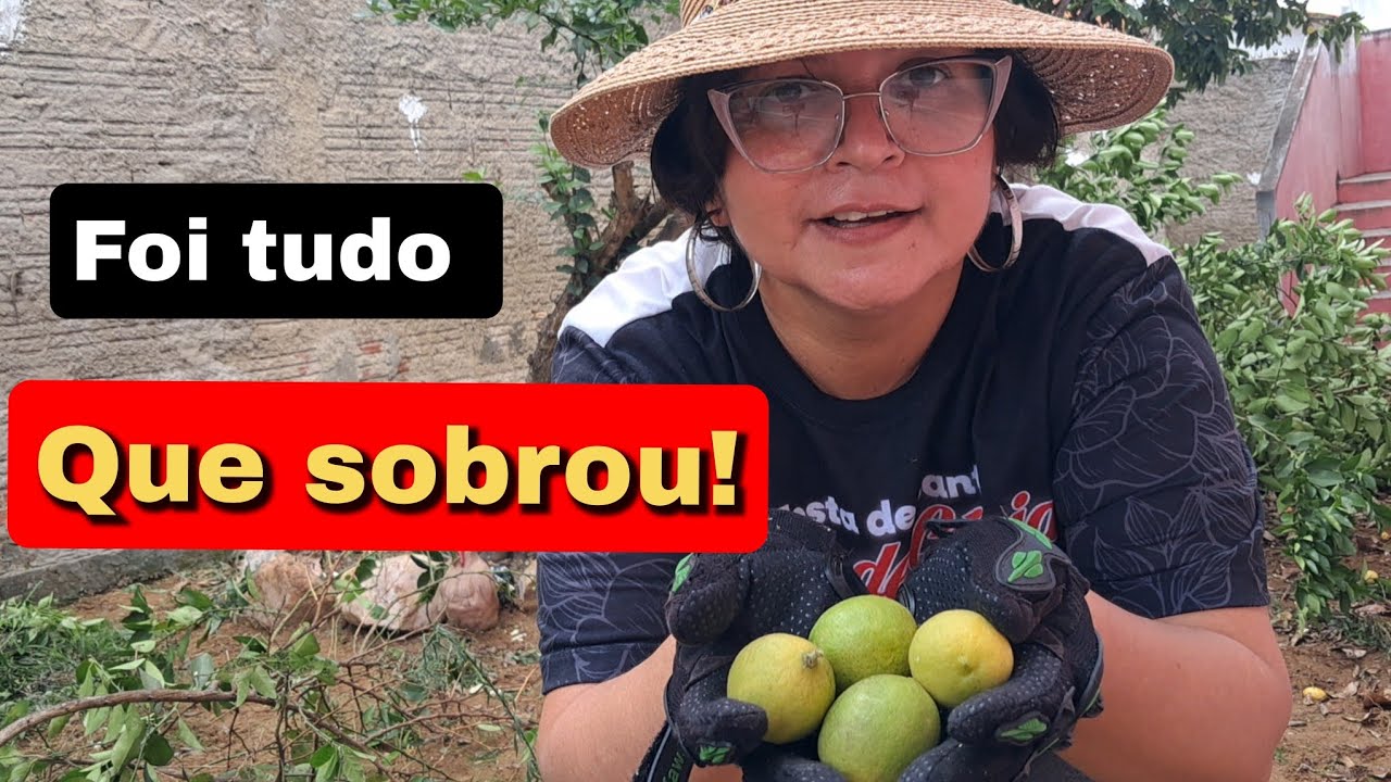 Uma manhã de muito trabalho!