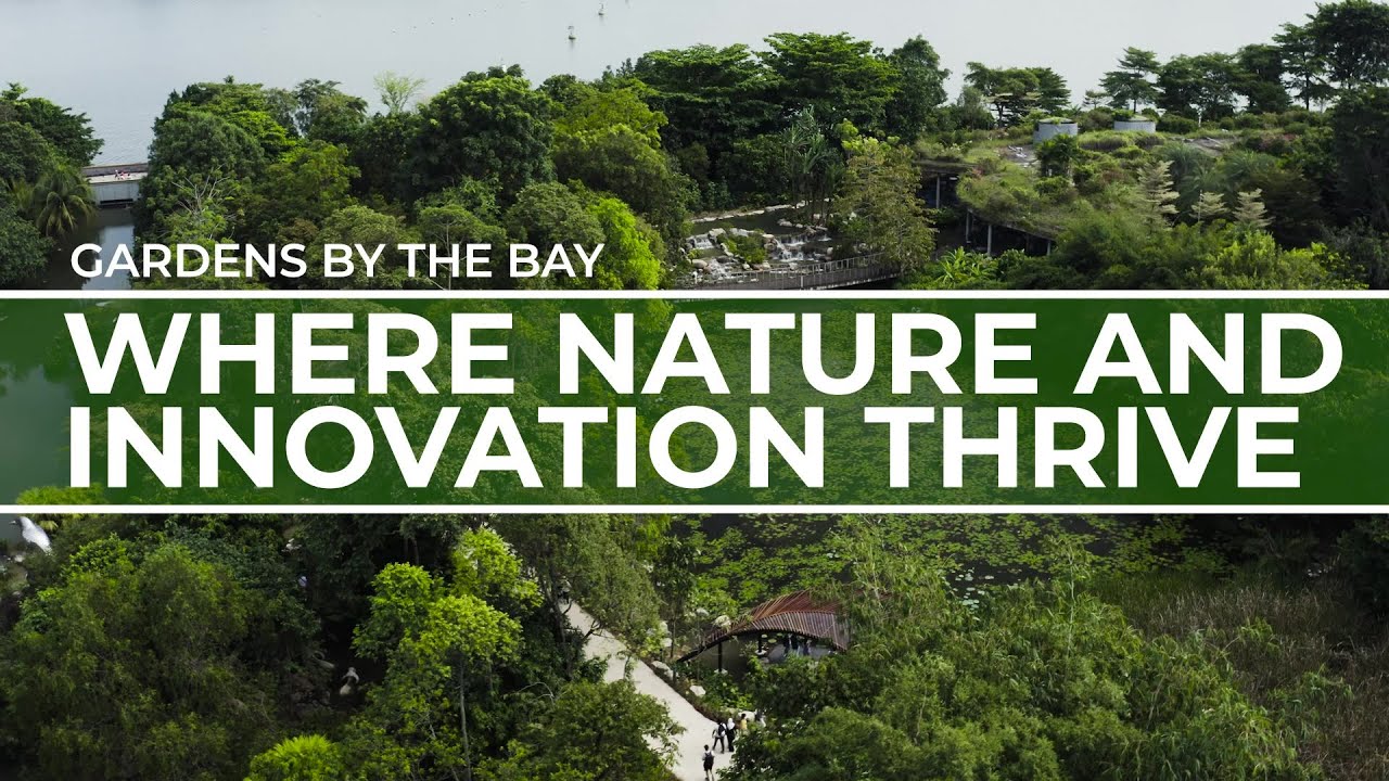 Where nature and innovation thrive | Gardens by the Bay | Travel Redefined