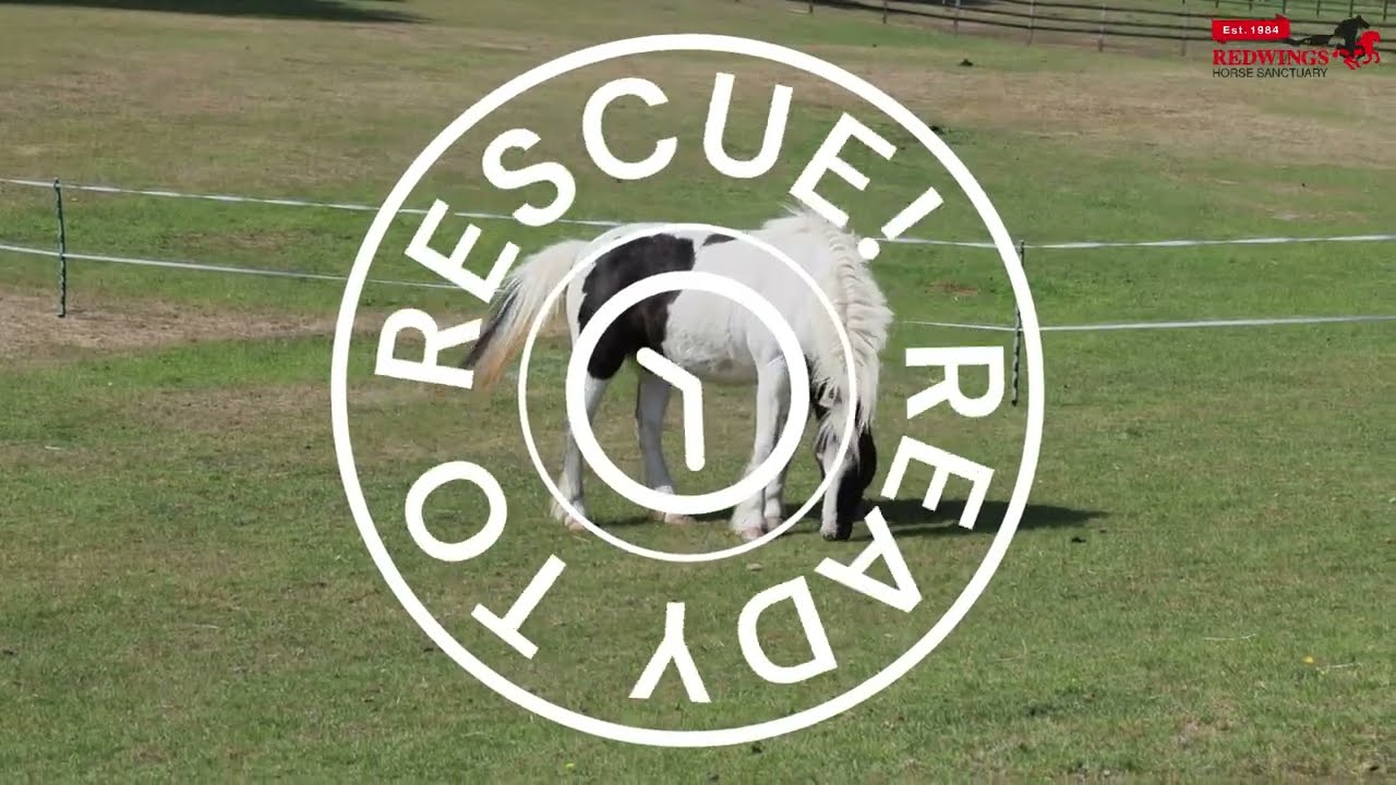 Ready to Rescue: Tom