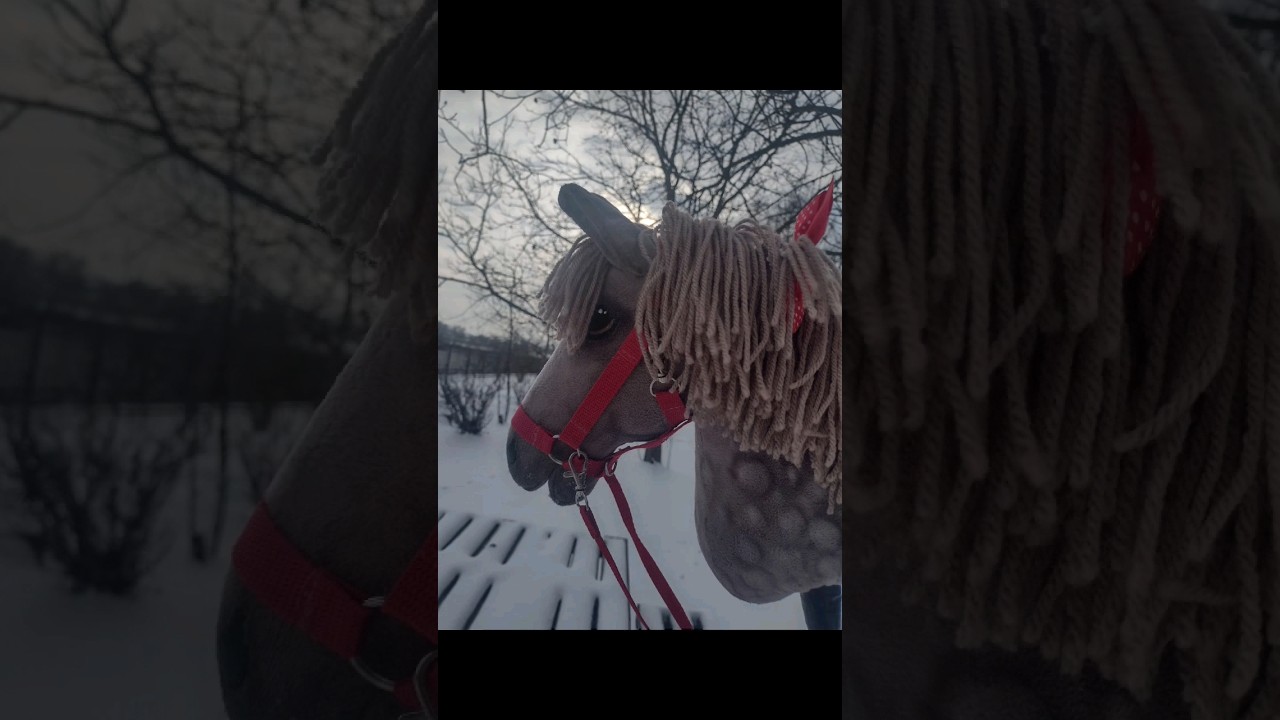 TWX Reindeer💗 mojej hodo( na sprzedaż) #edit #hobbyhorse #konie #sso #hh #snow #shorts #short #twix