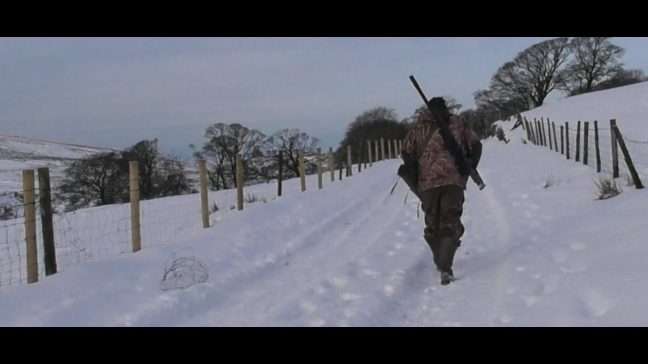 Winter Moorland Fox Control