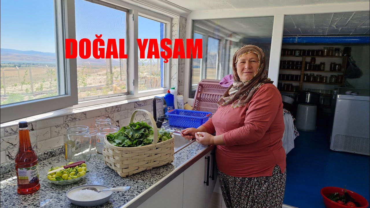 İLK YAPRAK SALAMURAMIZI BAHÇEMİZDEN KURDUK ÇOK GÜZEL OLDU