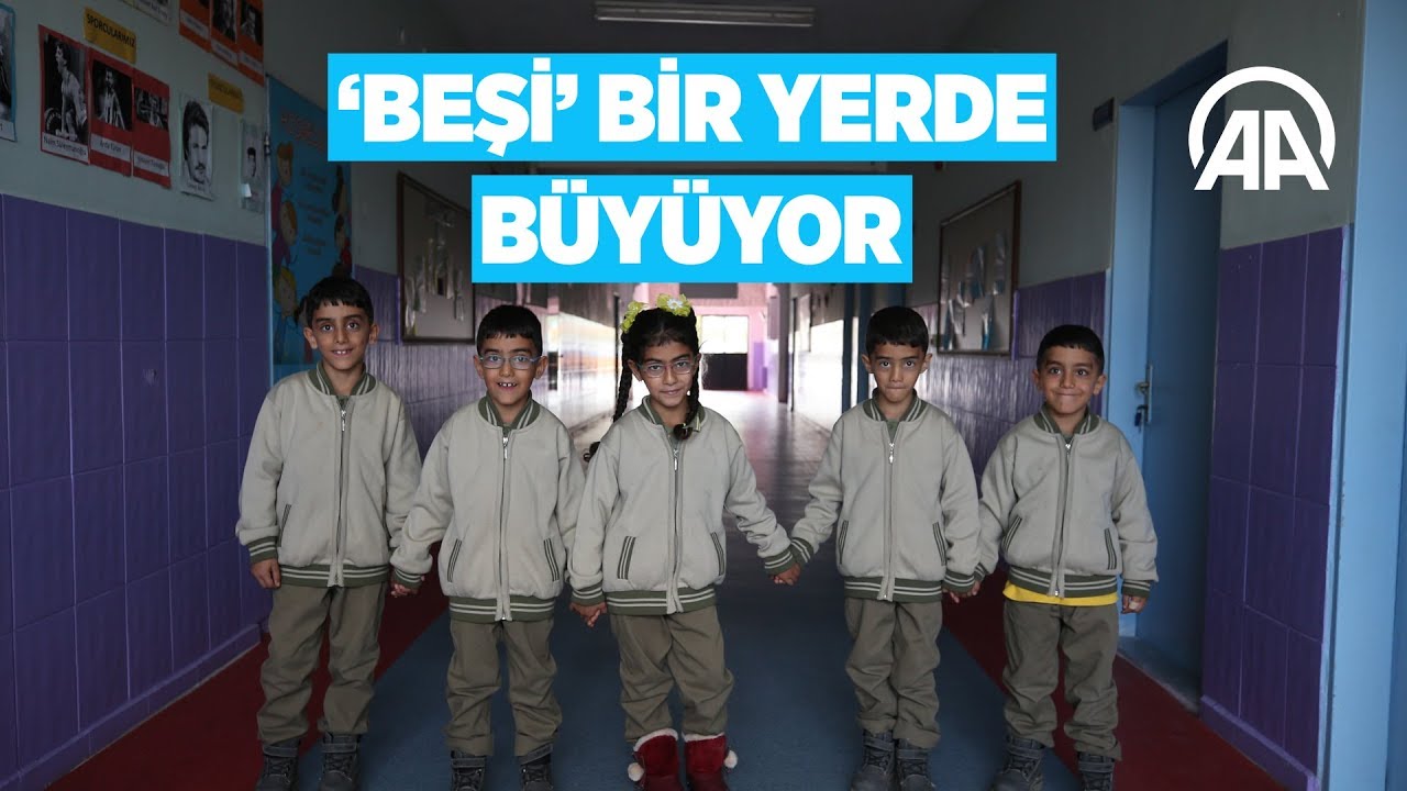 Beşi bir yerde büyüyor