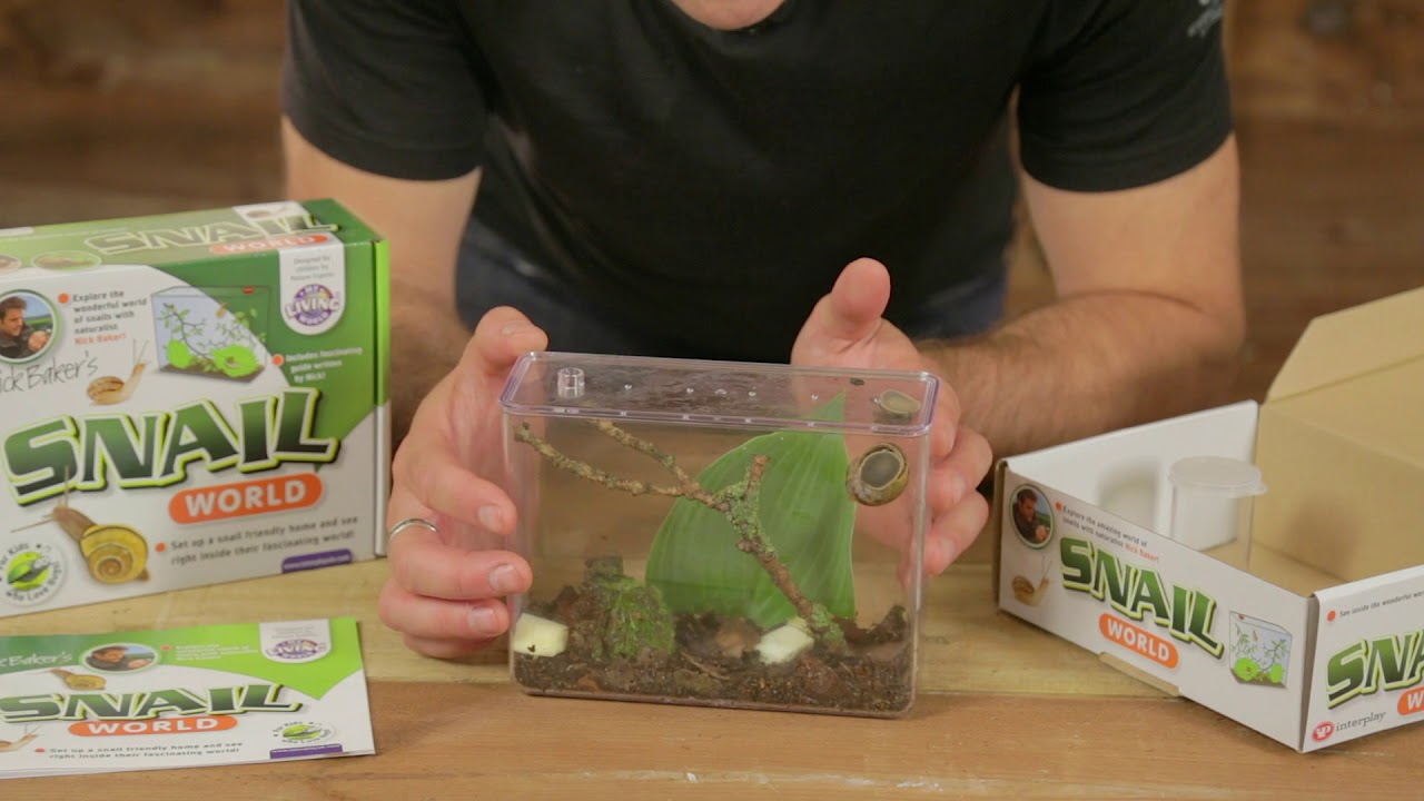 My Living World - Snail Word with Nick Baker (Full Video)
