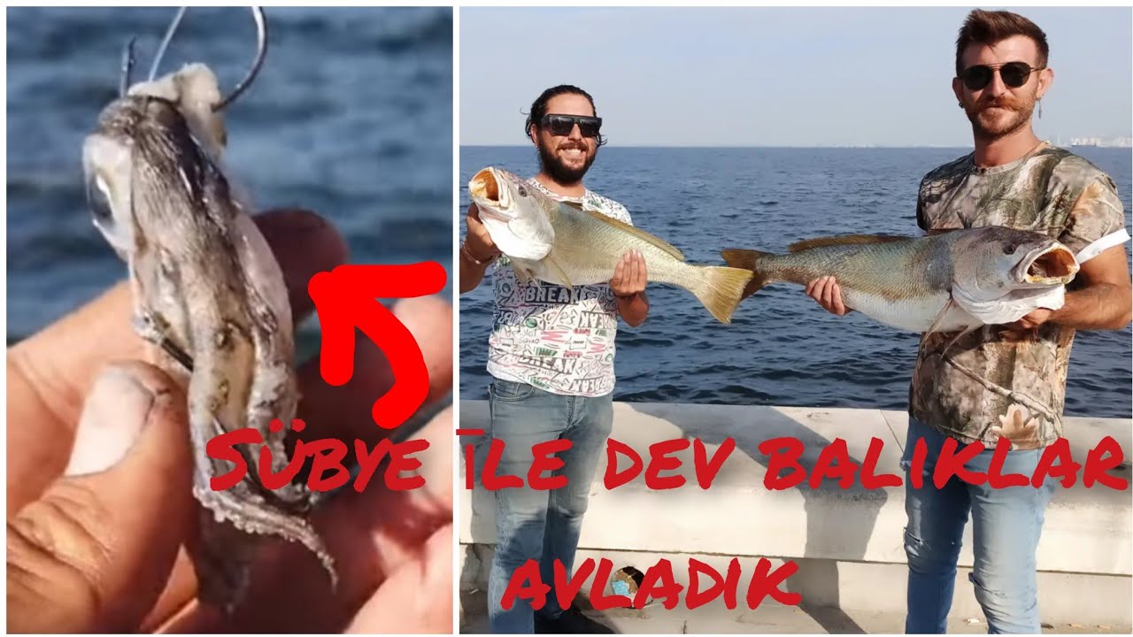 GRANYÖZ BALIĞI NASIL TUTULUR TAKTİKLER BİLGİLER VİDEODA!!!#jewfish #mulloway #corvina