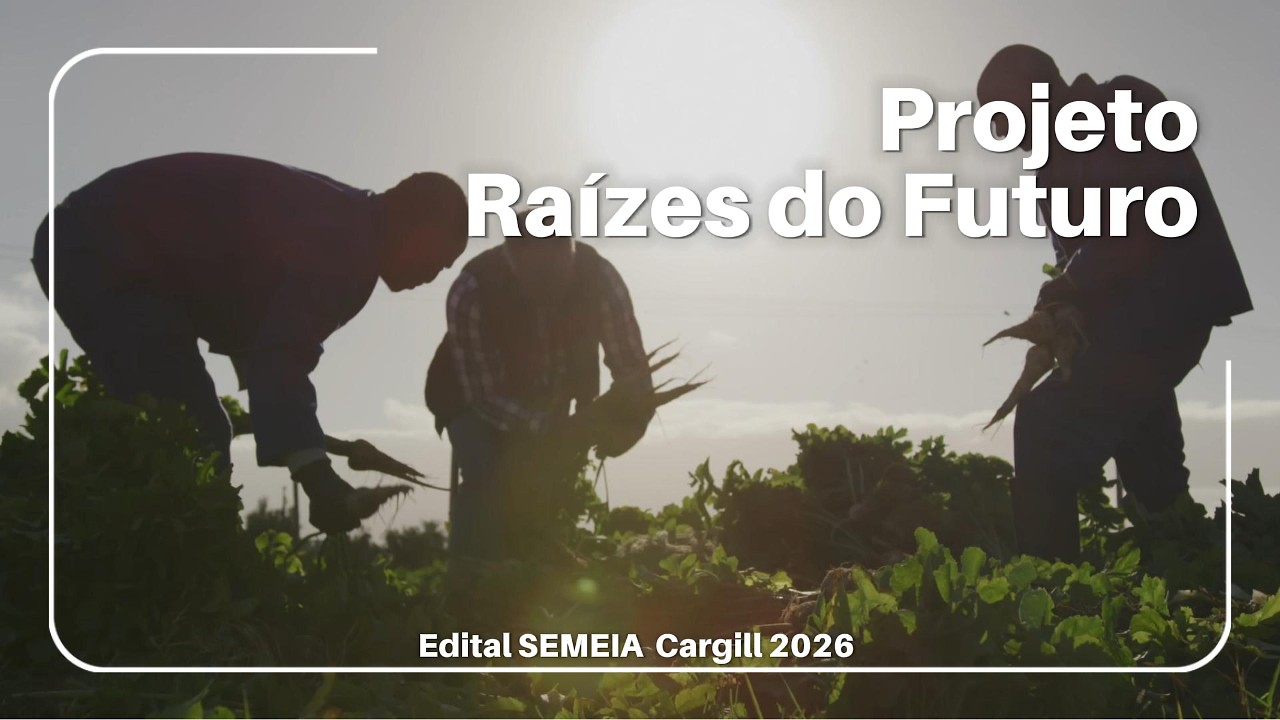 Projeto Raízes do Futuro - Hub de Inovação Social | Edital SEMEIA Cargill 2026