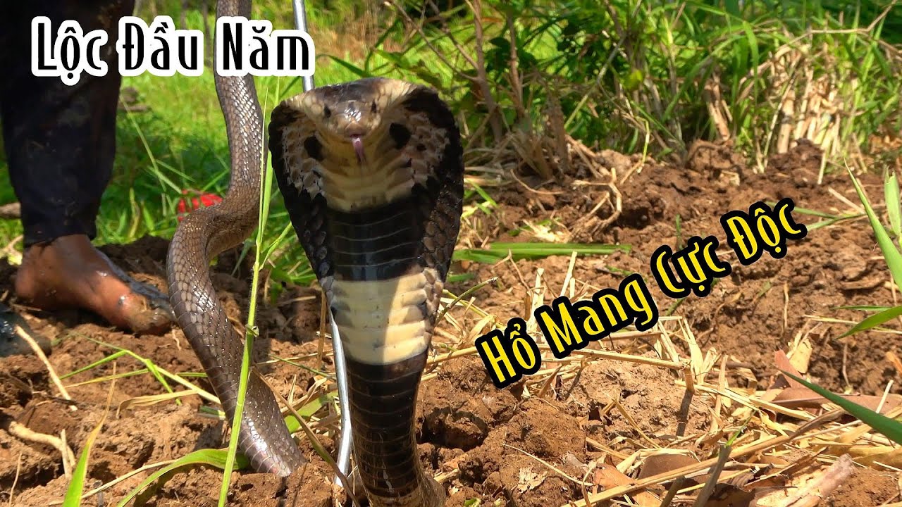 Đầu Năm Mà Vậy Là Cả Năm Khấm Khá Quá | Mười Thương SB
