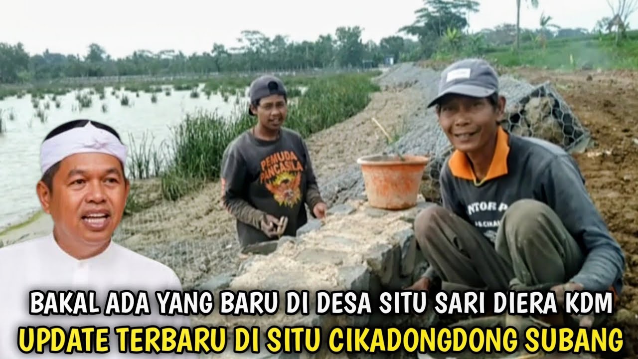 Update Terbaru Situ Cikadongdong Desa Situ Sari  Dawuan Subang