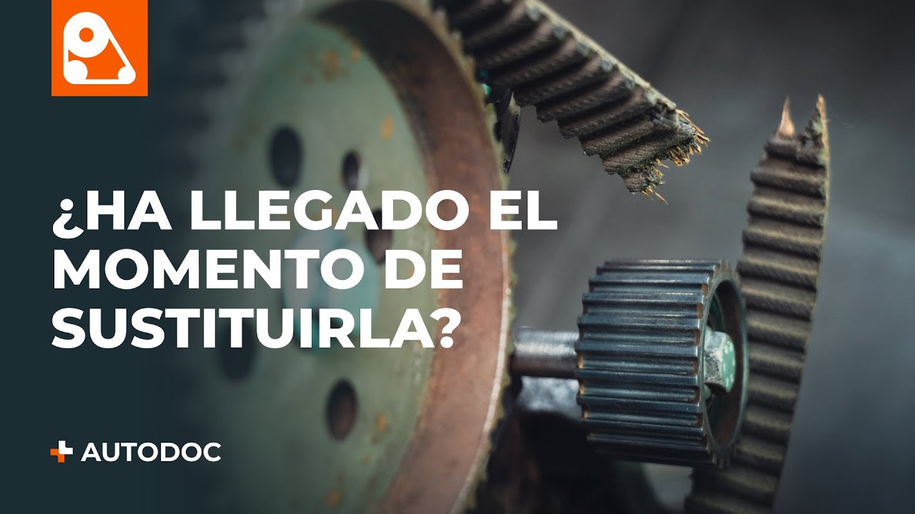 5 signos de desgaste de una correa de distribución | AUTODOC
