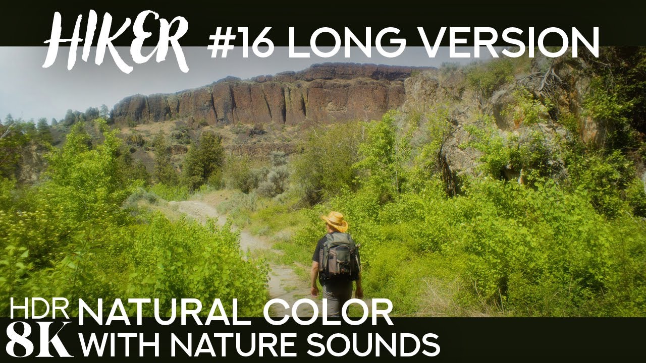 8K Silent Hiker Journey | Northrup Canyon Trail with Real Sounds & Canyon Views - #16 /Natural Color