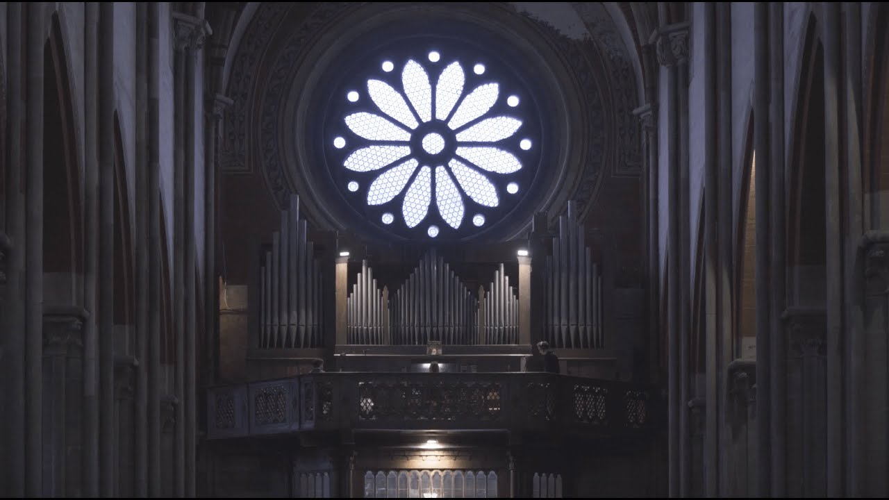 Carlot-ta | Sparrow (Live Version)