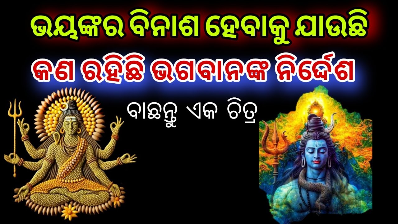 Pick a card Odia 🧿odia astrology 📌 Odia Tarot card reading