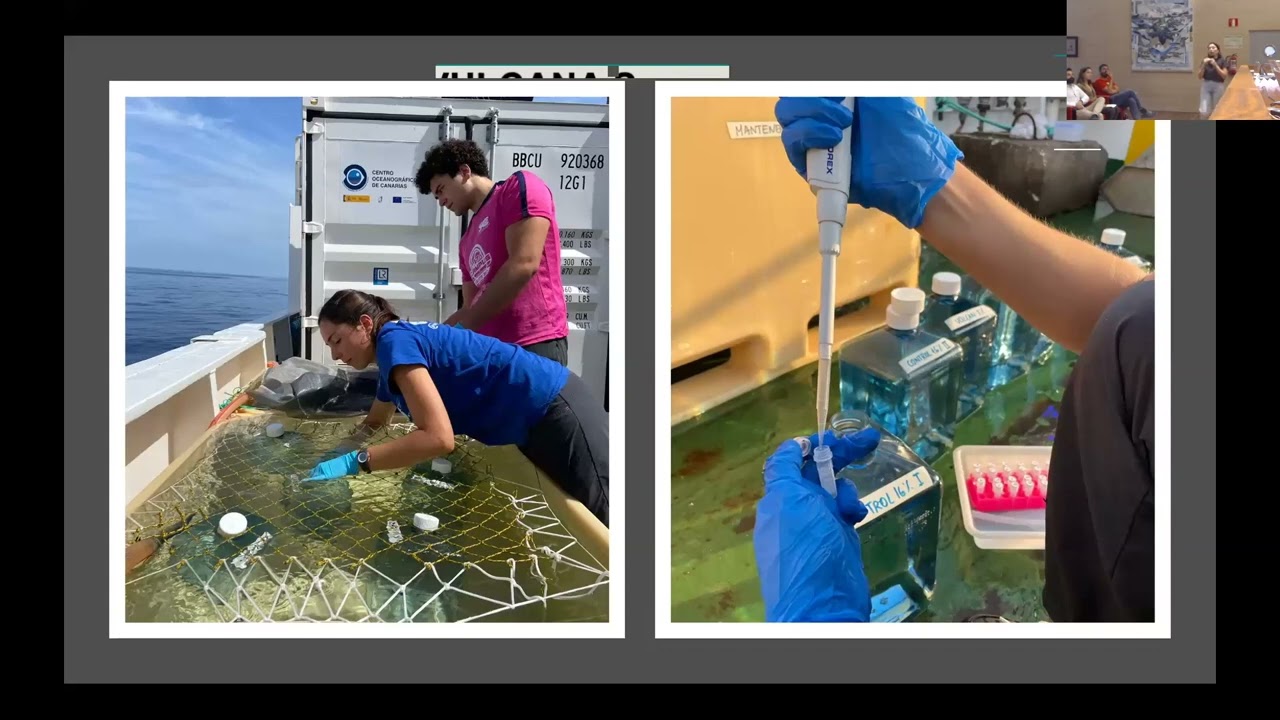 Claudia P&eacute;rez Barrancos, PhD Student, IEO-CSIC at 1VulcanaSymposium