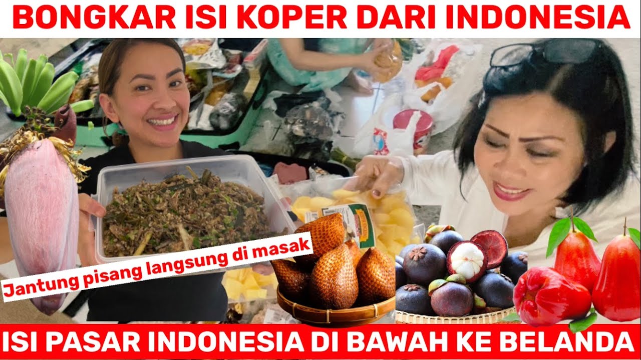 BONGKAR ISI KOPER OLEH-OLEH DARI INDONESIA..!! ISI PASAR INDONESIA DI BAWAH KE BELANDA.