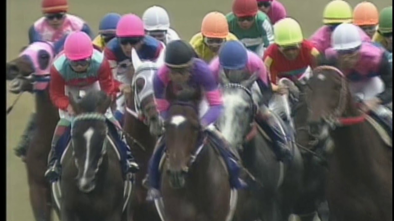 20世紀の名馬　20位　ビワハヤヒデ