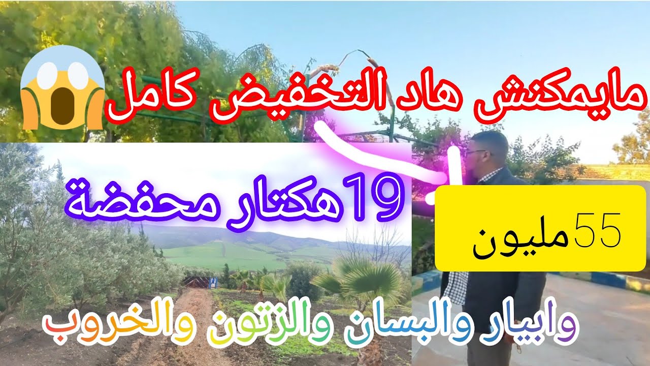 آش التخفيض الخيالي 55مليون كلها 😱 فيرمة 19هكتار بالبيار والبسان ومغروسة زتون وخروب@عقارات الشيخ