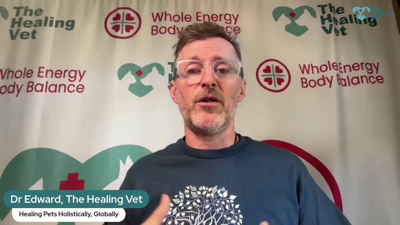 Itchy Dog Holistic Treatment