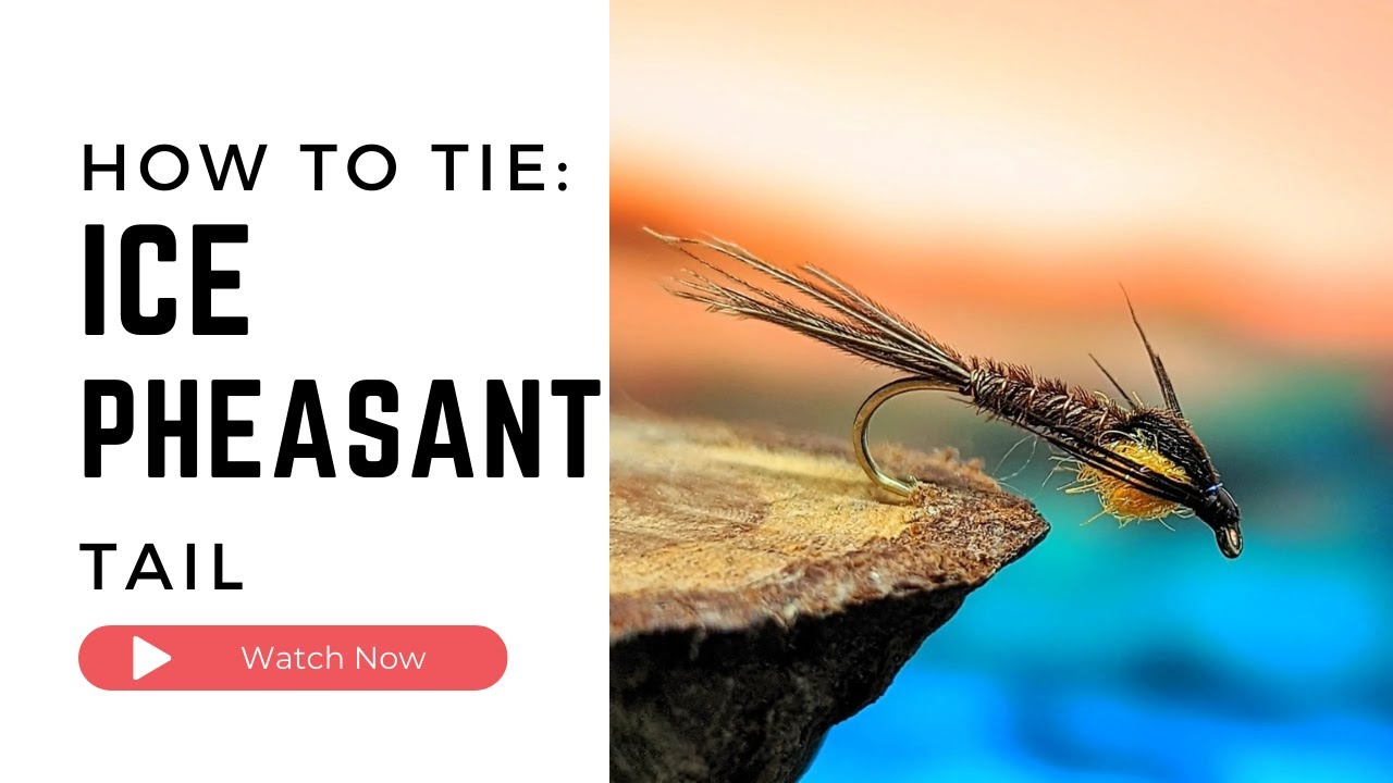 Ice PT (Pheasant Tail) Fly Tying Tutorial