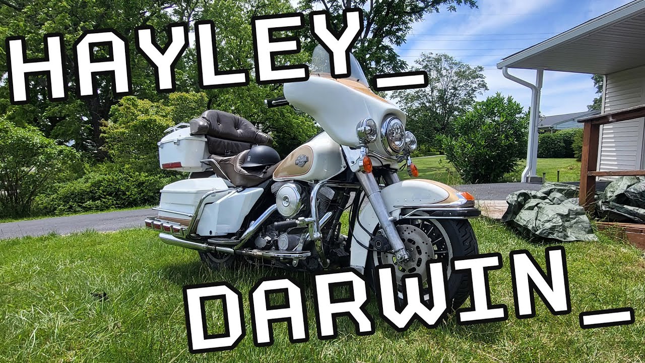 Reviving a $2000 Harley Davidson - How Bad Could it be?